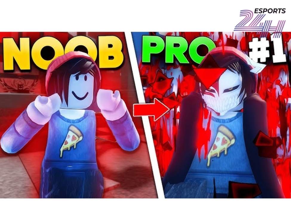 Code sailor nhận được những phần thưởng gì