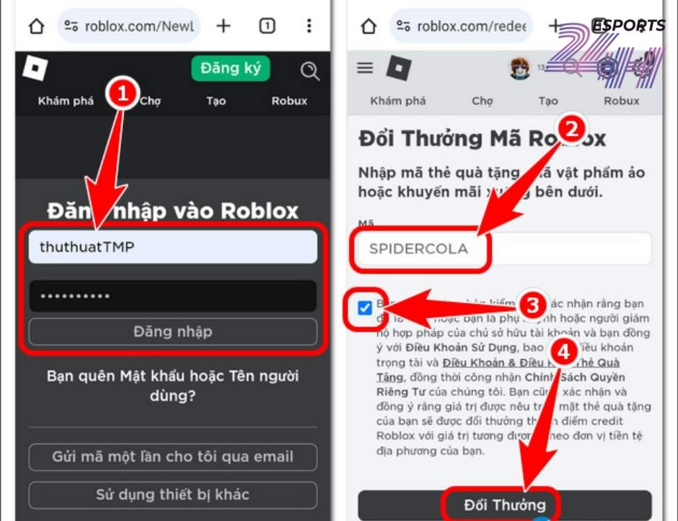 Nhập code Roblox ở đâu