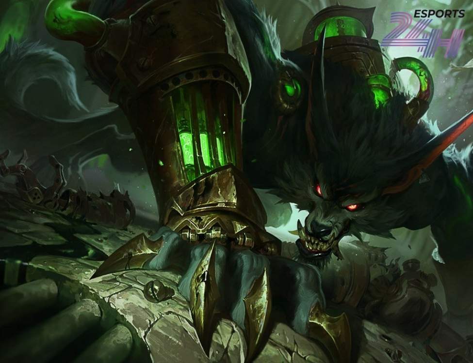 Tường đi rừng cho người mới