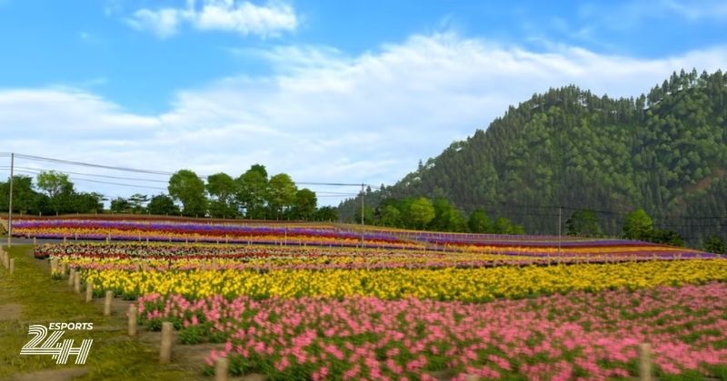 Vị trí Shikisai-no-Oka trong Forza Horizon 6: Vượt thử thách PetalPower 6 Cánh đồng hoa Shikisai-no-Oka