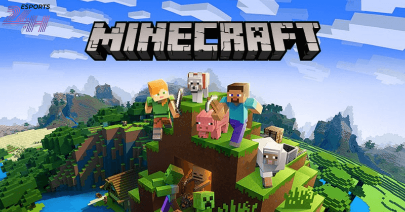 Câu hỏi thường gặp khi tải Minecraft trên PC
