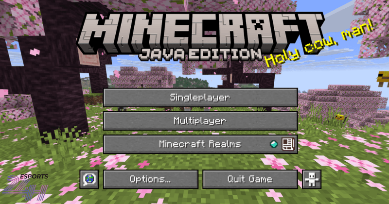 Phiên bản Minecraft Java Edition phù hợp với ai?